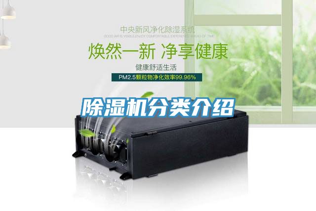 MR.好色破解版分类介绍