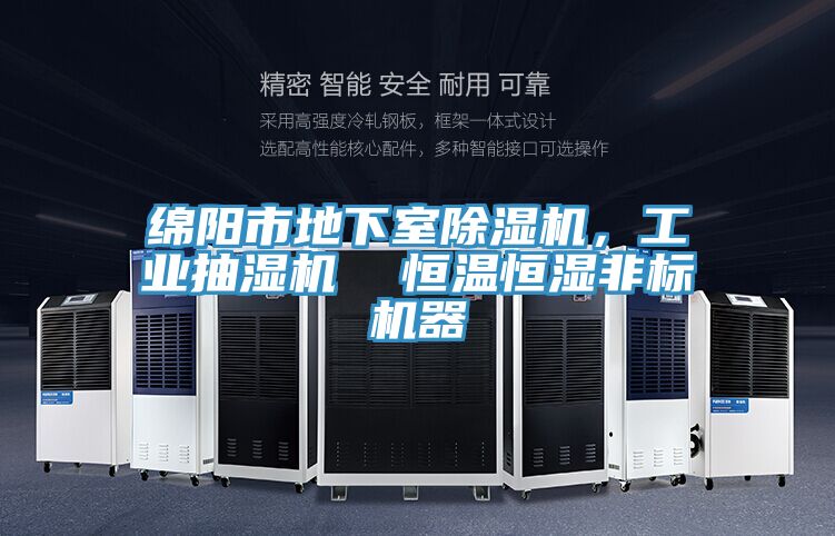 绵阳市地下室MR.好色破解版，工业抽湿机  恒温恒湿非标机器