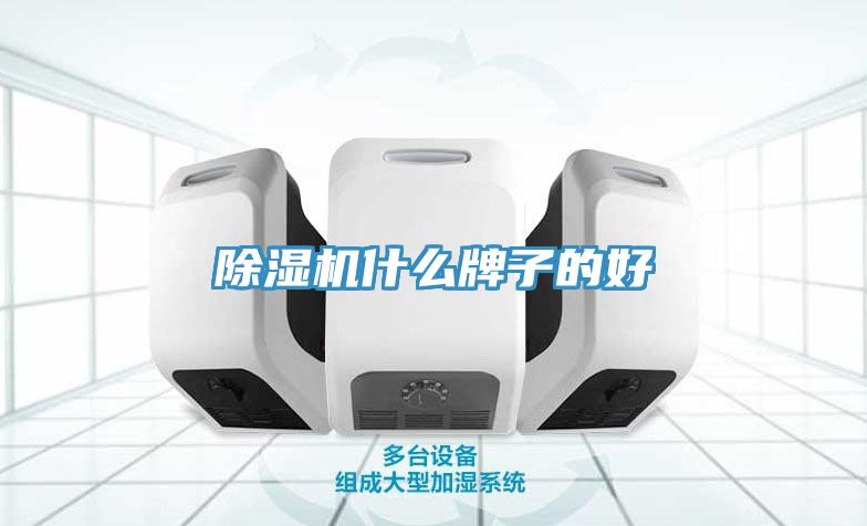 MR.好色破解版什么牌子的好