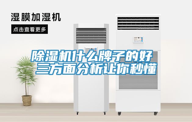 MR.好色破解版什么牌子的好 三方面分析让你秒懂