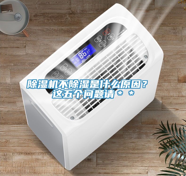 MR.好色破解版不除湿是什么原因？ 这五个问题请＊＊