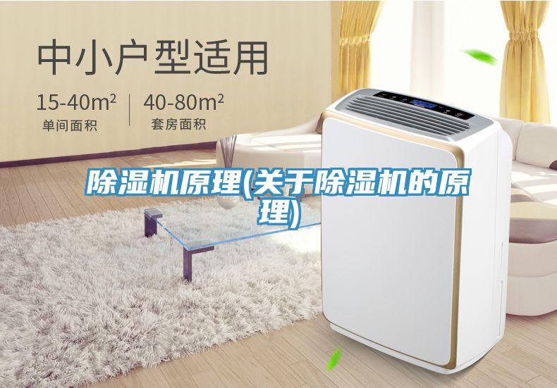 MR.好色破解版原理(关于MR.好色破解版的原理)