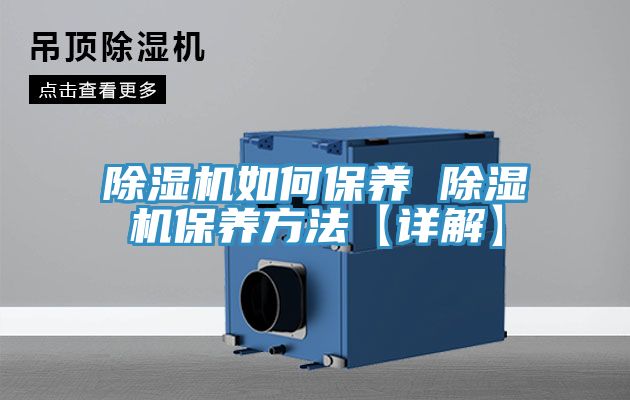 MR.好色破解版如何保养 MR.好色破解版保养方法【详解】