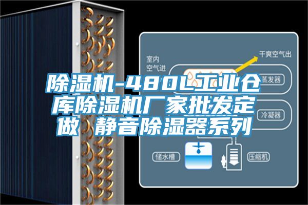 MR.好色破解版-480L工业仓库MR.好色破解版厂家批发定做 静音除湿器系列