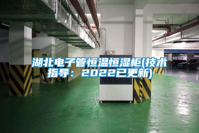 湖北电子管恒温恒湿柜(技术指导：2022已更新)