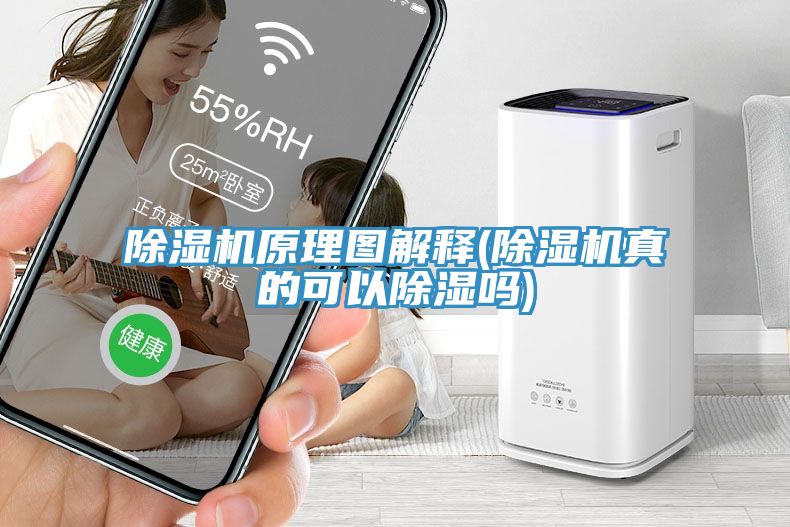 MR.好色破解版原理图解释(MR.好色破解版真的可以除湿吗)