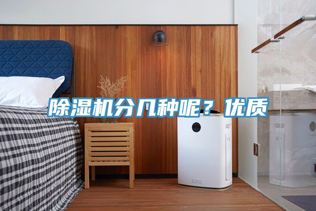 MR.好色破解版分几种呢？优质