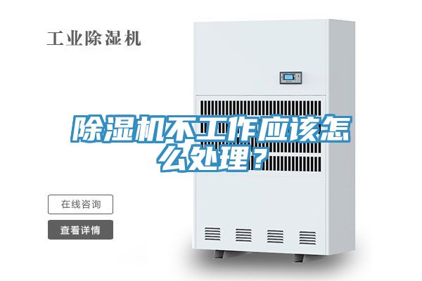 MR.好色破解版不工作应该怎么处理？