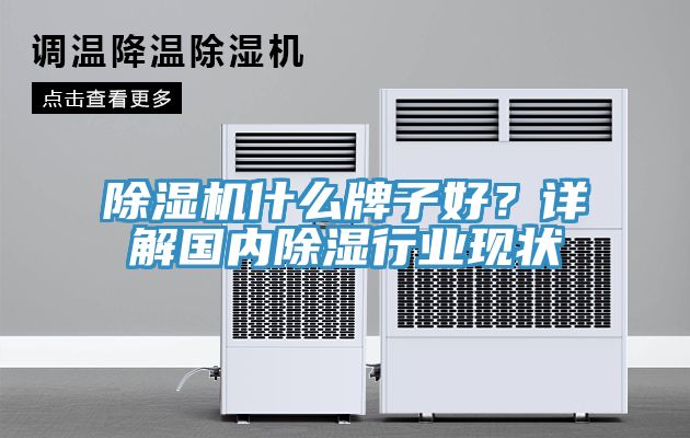 MR.好色破解版什么牌子好？详解国内除湿行业现状