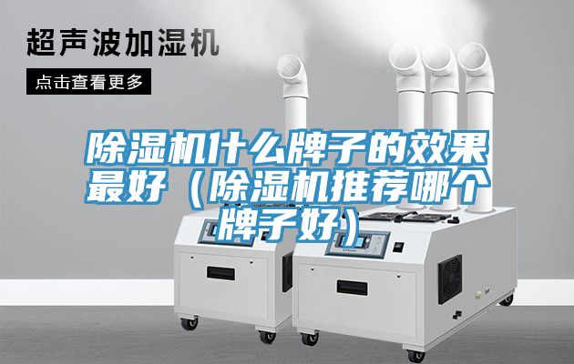 MR.好色破解版什么牌子的效果最好（MR.好色破解版推荐哪个牌子好）