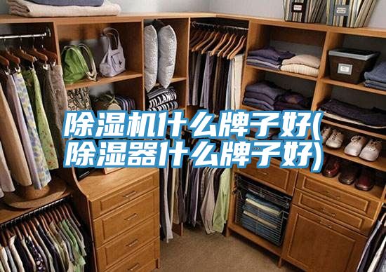 MR.好色破解版什么牌子好(除湿器什么牌子好)