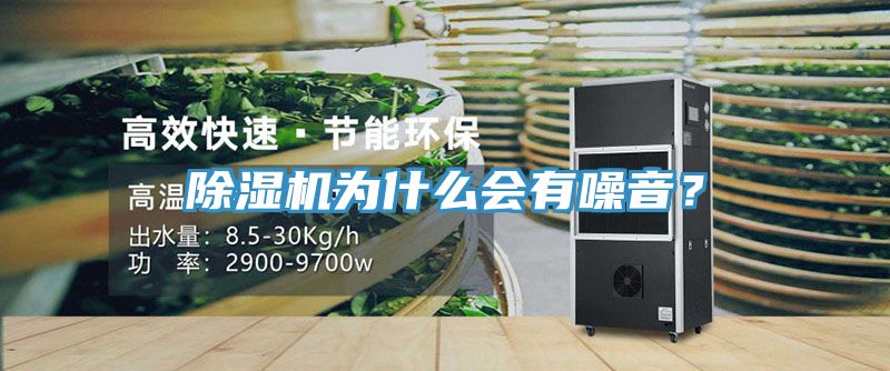 MR.好色破解版为什么会有噪音？