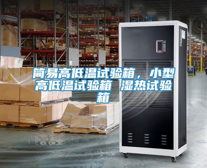 简易高低温试验箱，小型高低温试验箱 湿热试验箱