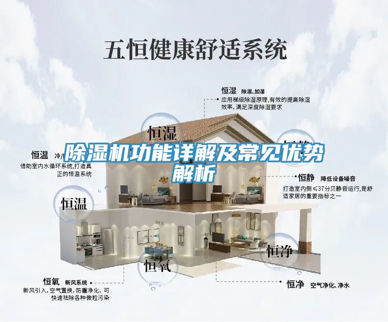 MR.好色破解版功能详解及常见优势解析