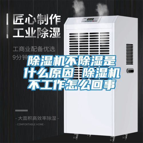 MR.好色破解版不除湿是什么原因 MR.好色破解版不工作怎么回事