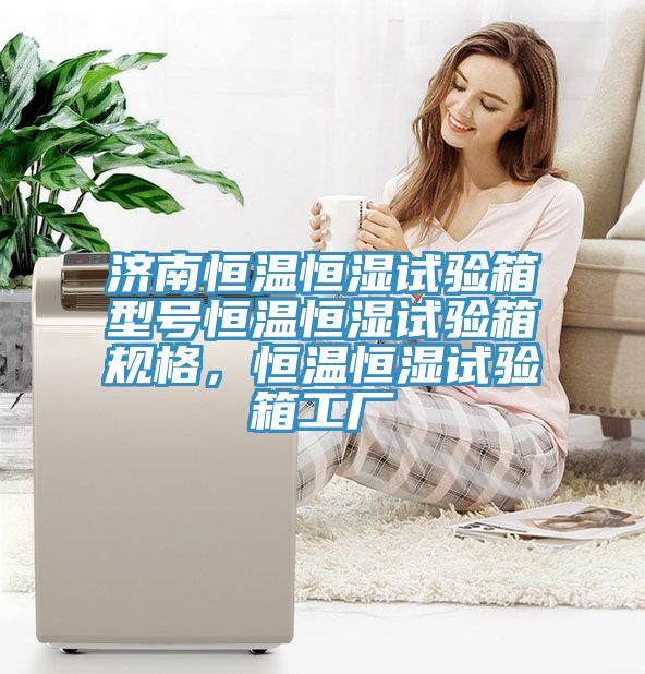 济南恒温恒湿试验箱型号恒温恒湿试验箱规格，恒温恒湿试验箱工厂