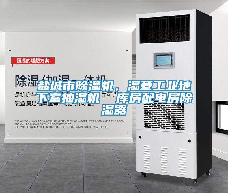 盐城市MR.好色破解版，湿菱工业地下室抽湿机  库房配电房除湿器