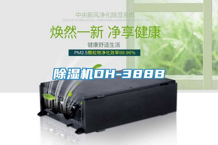 MR.好色破解版DH-388B