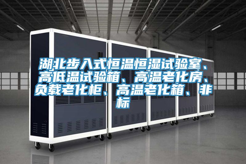 湖北步入式恒温恒湿试验室、高低温试验箱、高温老化房、负载老化柜、高温老化箱、非标