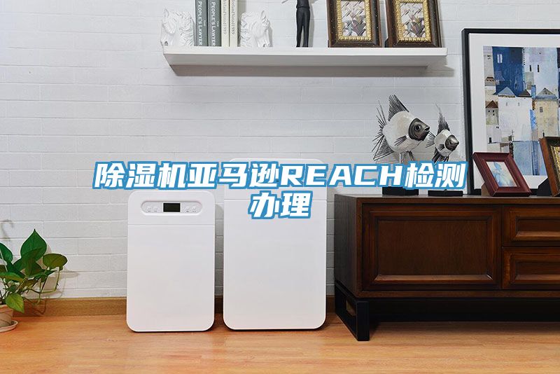 MR.好色破解版亚马逊REACH检测办理