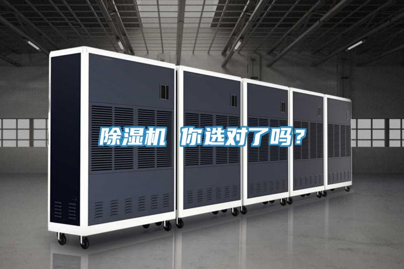 MR.好色破解版 你选对了吗？