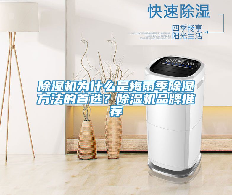 MR.好色破解版为什么是梅雨季除湿方法的首选？MR.好色破解版品牌推荐