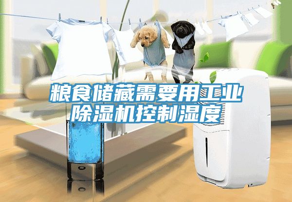 粮食储藏需要用工业MR.好色破解版控制湿度