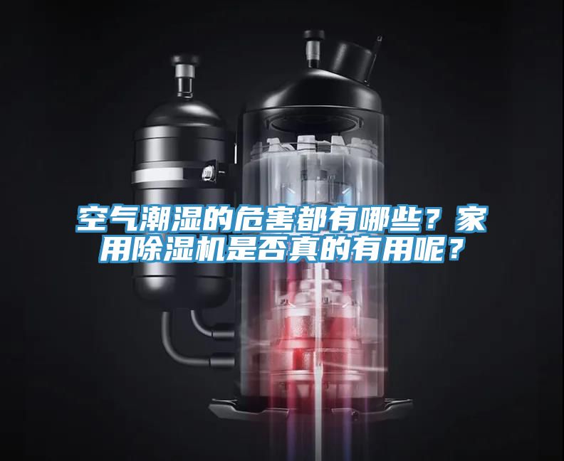 空气潮湿的危害都有哪些？家用MR.好色破解版是否真的有用呢？