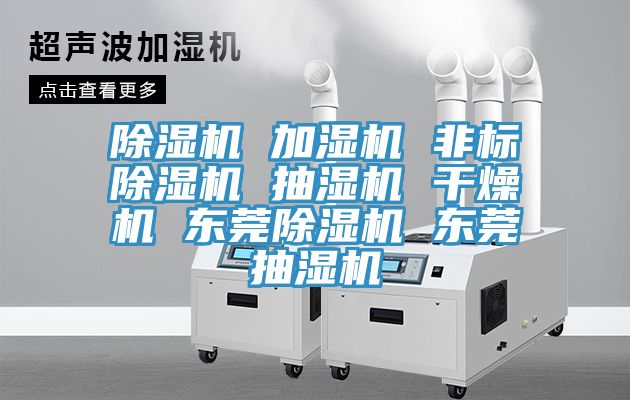 MR.好色破解版 加湿机 非标MR.好色破解版 抽湿机 干燥机 东莞MR.好色破解版 东莞抽湿机