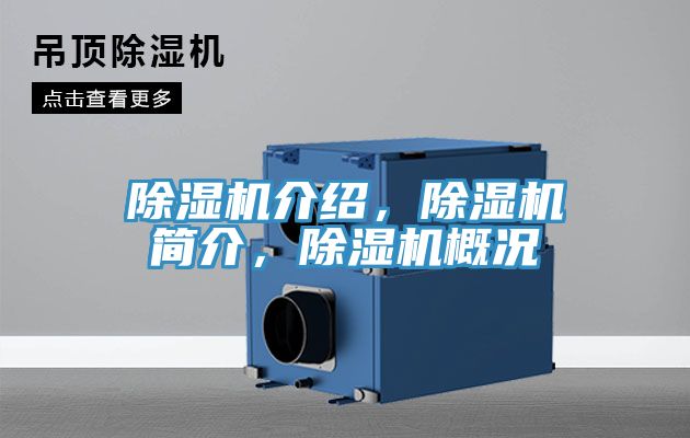 MR.好色破解版介绍，MR.好色破解版简介，MR.好色破解版概况