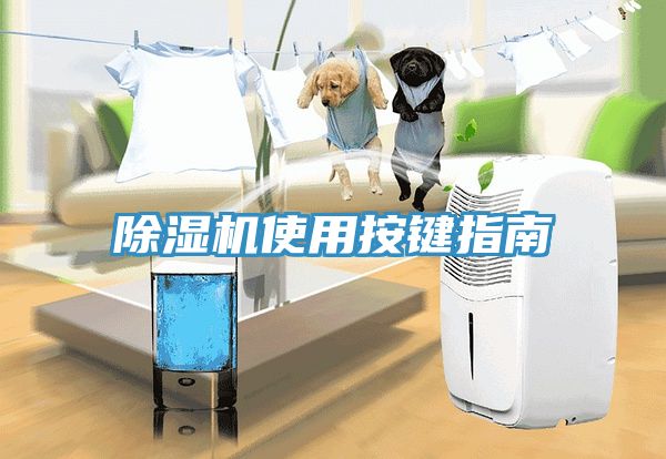 MR.好色破解版使用按键指南