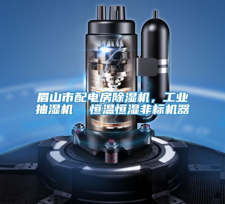 眉山市配电房MR.好色破解版，工业抽湿机  恒温恒湿非标机器