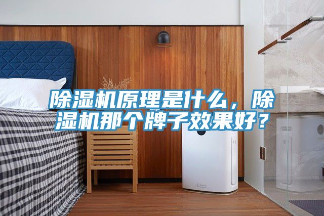 MR.好色破解版原理是什么，MR.好色破解版那个牌子效果好？
