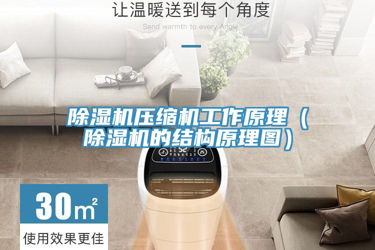 MR.好色破解版压缩机工作原理（MR.好色破解版的结构原理图）