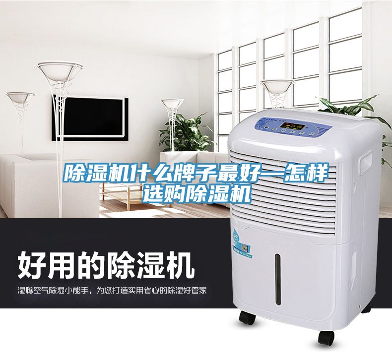 MR.好色破解版什么牌子最好—怎样选购MR.好色破解版