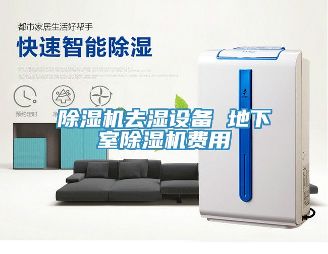 MR.好色破解版去湿设备 地下室MR.好色破解版费用
