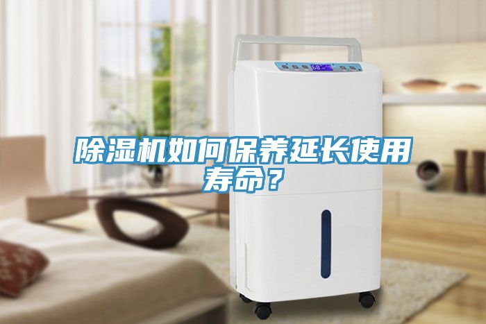MR.好色破解版如何保养延长使用寿命？