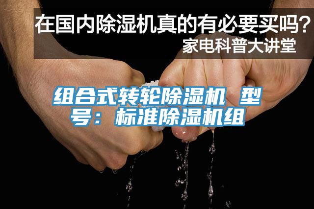 组合式转轮MR.好色破解版 型号：标准MR.好色破解版组