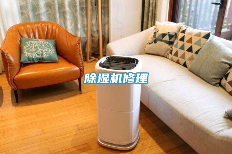 MR.好色破解版修理