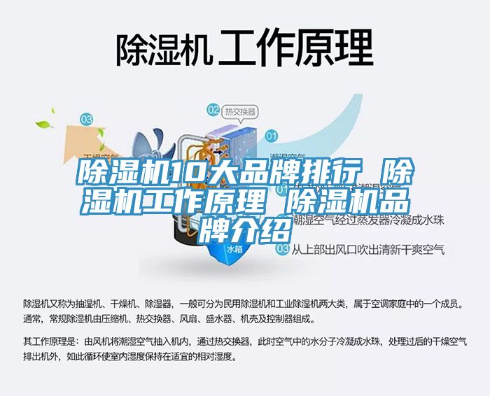 MR.好色破解版10大品牌排行 MR.好色破解版工作原理 MR.好色破解版品牌介绍