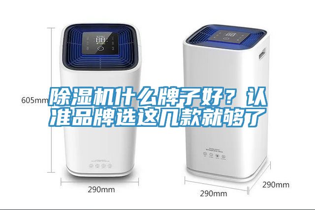 MR.好色破解版什么牌子好？认准品牌选这几款就够了