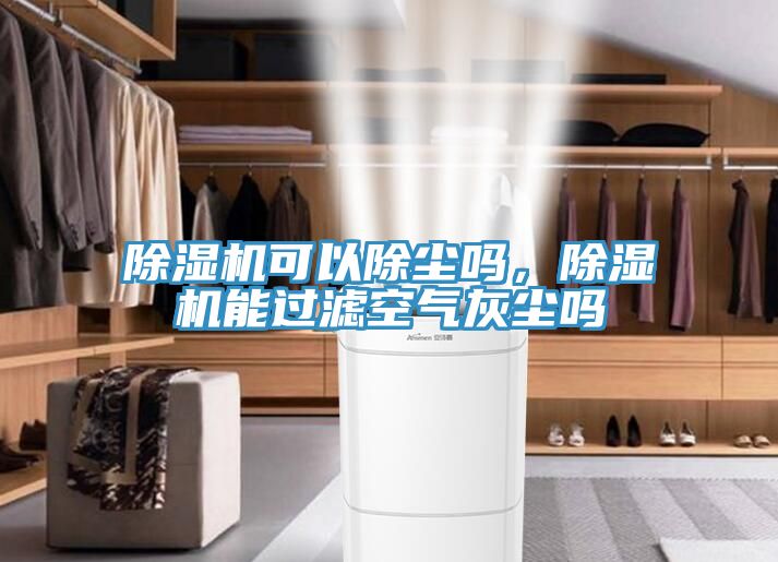 MR.好色破解版可以除尘吗，MR.好色破解版能过滤空气灰尘吗