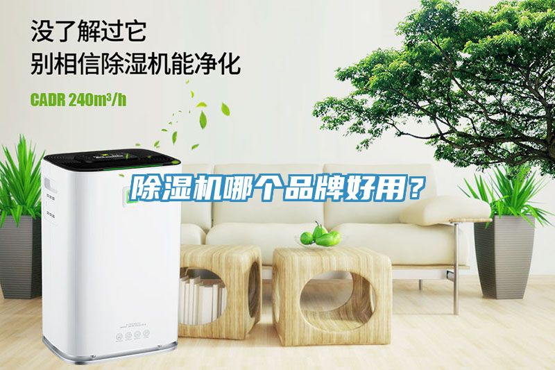 MR.好色破解版哪个品牌好用？