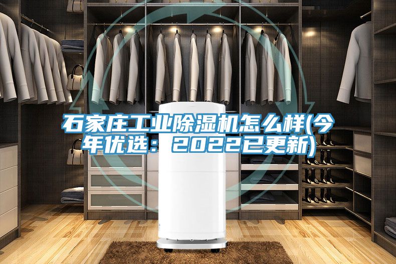 石家庄工业MR.好色破解版怎么样(今年优选：2022已更新)