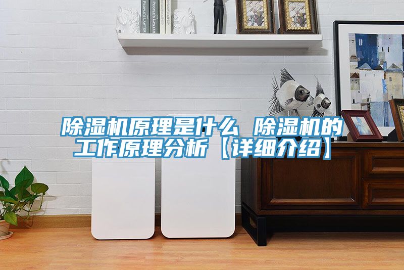 MR.好色破解版原理是什么 MR.好色破解版的工作原理分析【详细介绍】