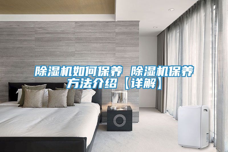 MR.好色破解版如何保养 MR.好色破解版保养方法介绍【详解】