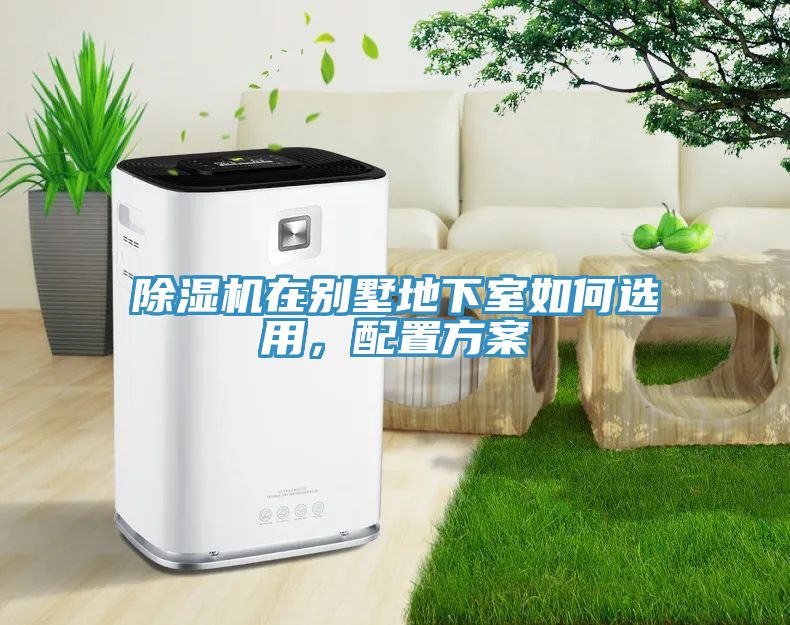 MR.好色破解版在别墅地下室如何选用，配置方案