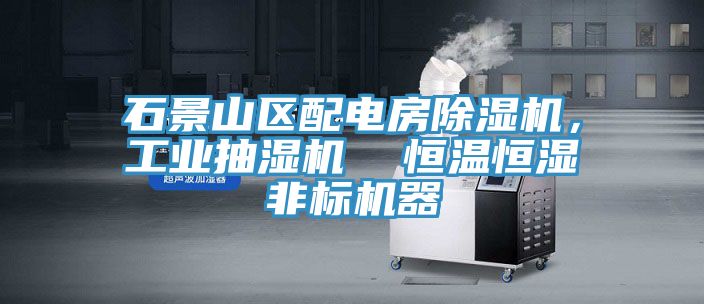 石景山区配电房MR.好色破解版，工业抽湿机  恒温恒湿非标机器