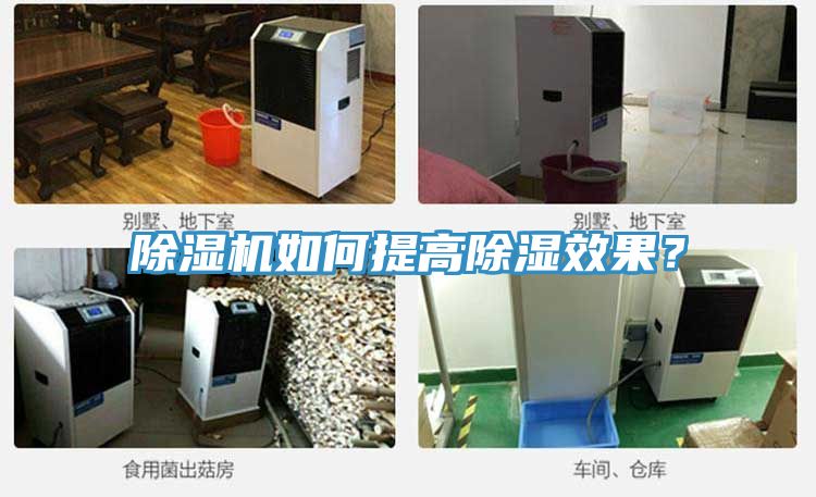 MR.好色破解版如何提高除湿效果？