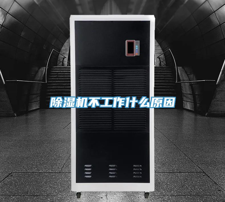 MR.好色破解版不工作什么原因
